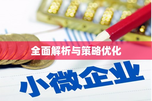 公安全面解析与策略优化