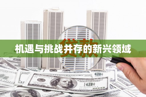 公安机遇与挑战并存的新兴领域