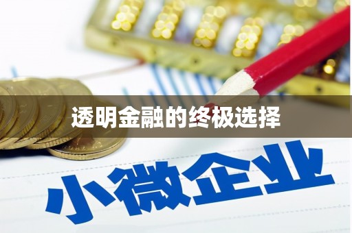 公安透明金融的终极选择