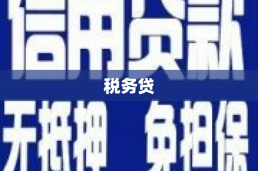 公安税务贷