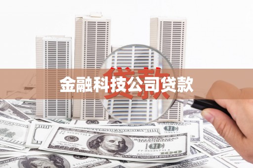 公安金融科技公司贷款