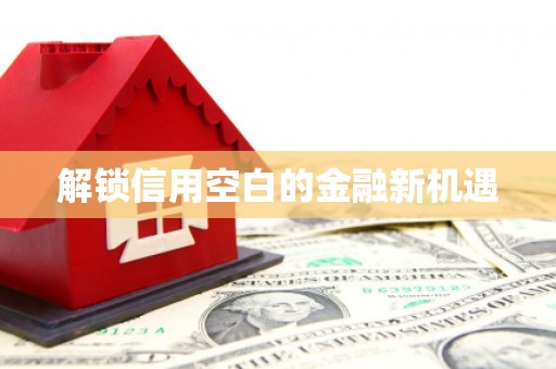 公安解锁信用空白的金融新机遇
