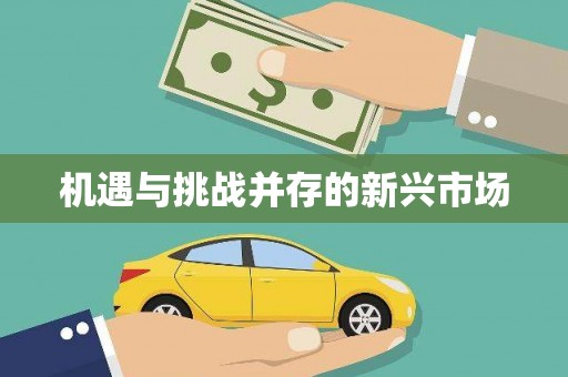 公安机遇与挑战并存的新兴市场