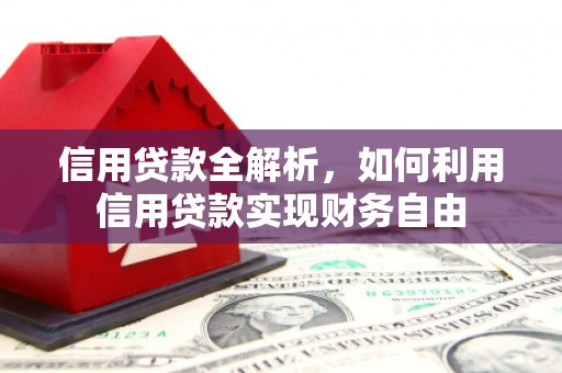 公安信用贷款全解析，如何利用信用贷款实现财务自由