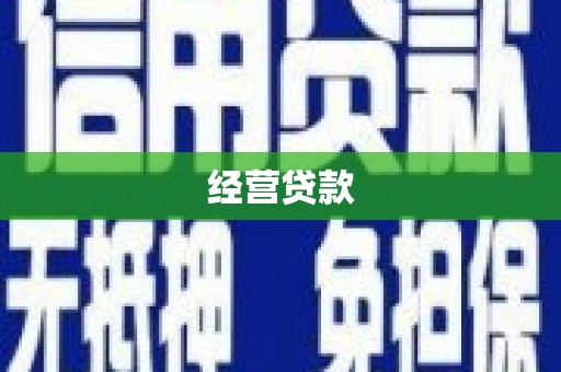 公安经营贷款