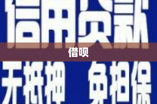 公安借呗