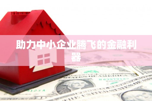 公安助力中小企业腾飞的金融利器