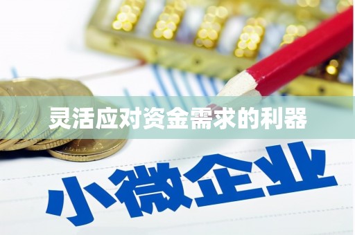 公安灵活应对资金需求的利器