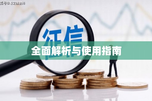 公安全面解析与使用指南