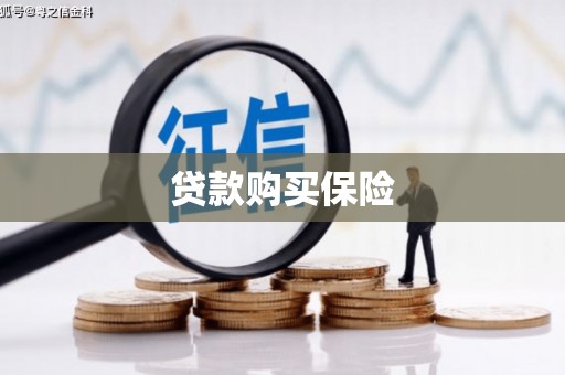 公安贷款购买保险
