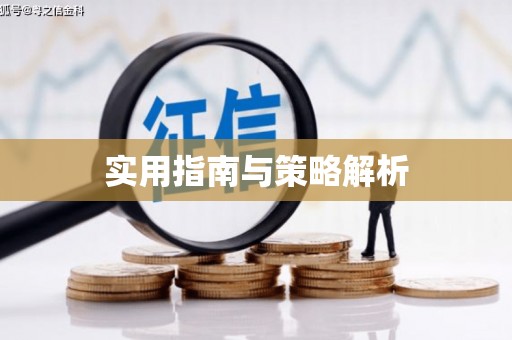 公安实用指南与策略解析