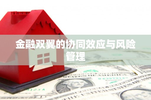 公安金融双翼的协同效应与风险管理