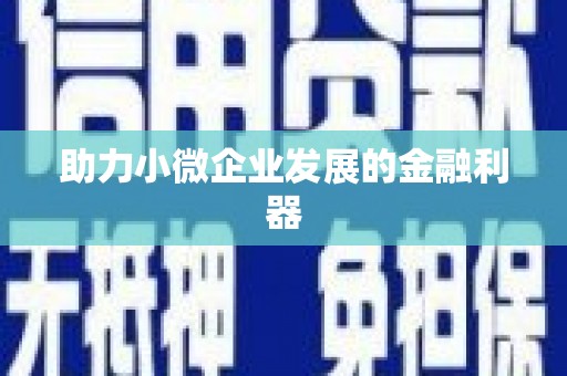 公安助力小微企业发展的金融利器
