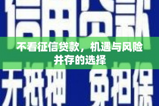 公安不看征信贷款，机遇与风险并存的选择