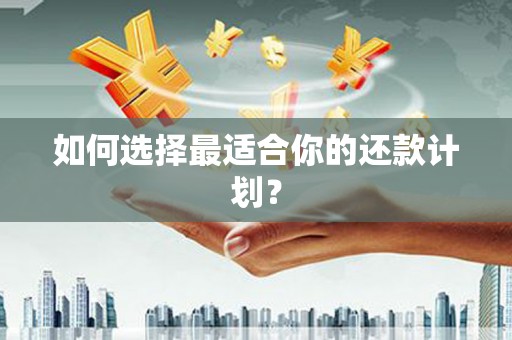 公安如何选择最适合你的还款计划？