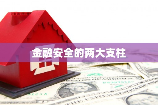 公安金融安全的两大支柱