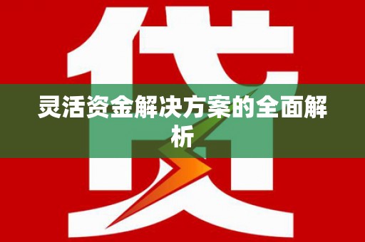 公安灵活资金解决方案的全面解析