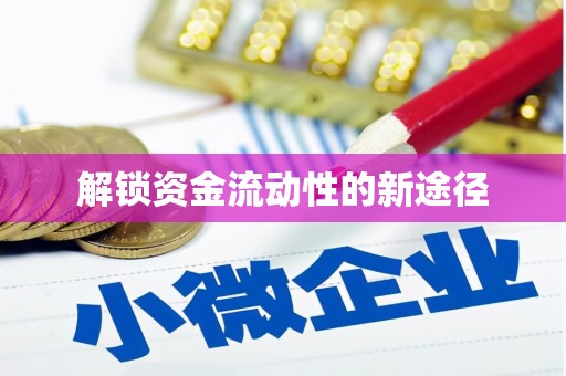 公安解锁资金流动性的新途径