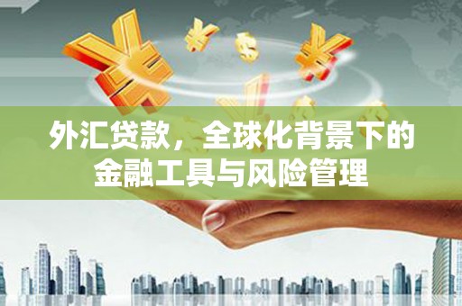公安外汇贷款，全球化背景下的金融工具与风险管理