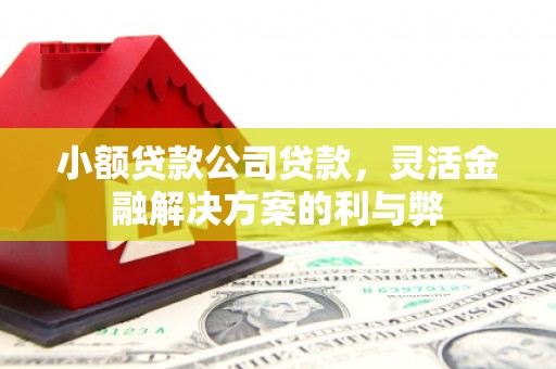 公安小额贷款公司贷款，灵活金融解决方案的利与弊